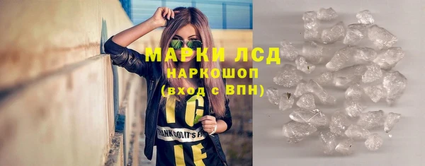 шишки Белоозёрский