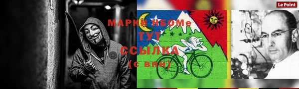 шишки Белоозёрский