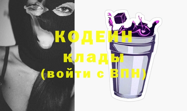 шишки Белоозёрский