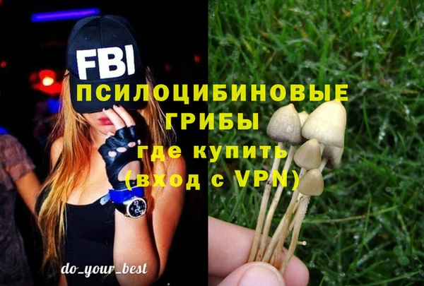 шишки Белоозёрский