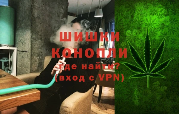 шишки Белоозёрский
