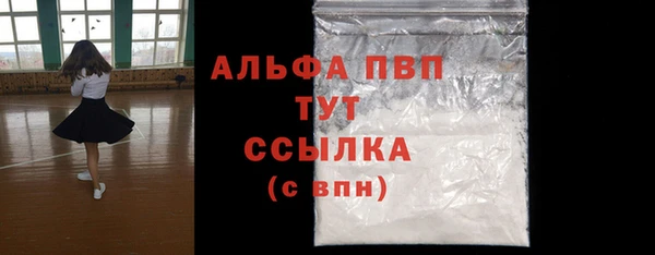 шишки Белоозёрский