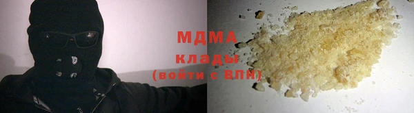 шишки Белоозёрский