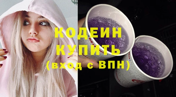 шишки Белоозёрский