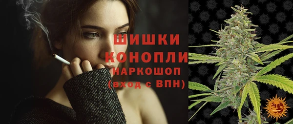 шишки Белоозёрский